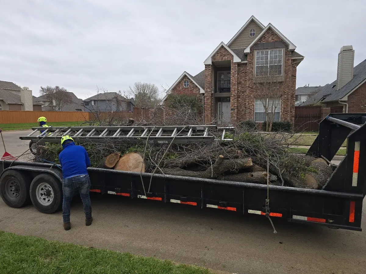 Expert Tree Fertilization with proper safety equipment in Pea Ridge
